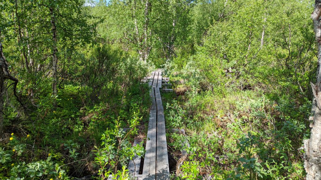 Bohlenweg